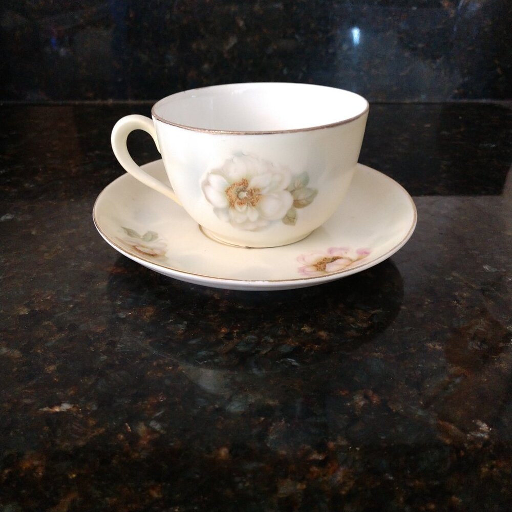 FLORAL E.S. GERMANY PROV SAXE VICTORIAN CUP SAUCER SET 1920'S GREEN MARK